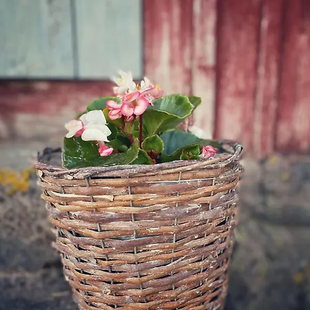 Pensar & Ravintola Sandvik 홀리데이파크