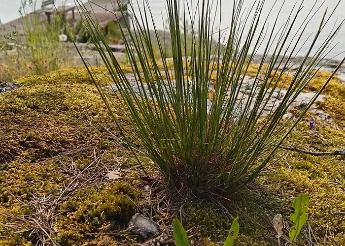 Pensar & Ravintola Sandvik